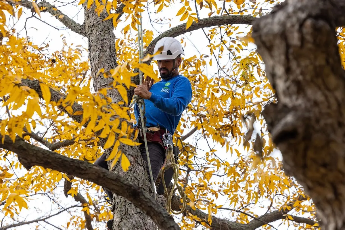 Skilled Storm Damage Cleanup crew working in Liberty